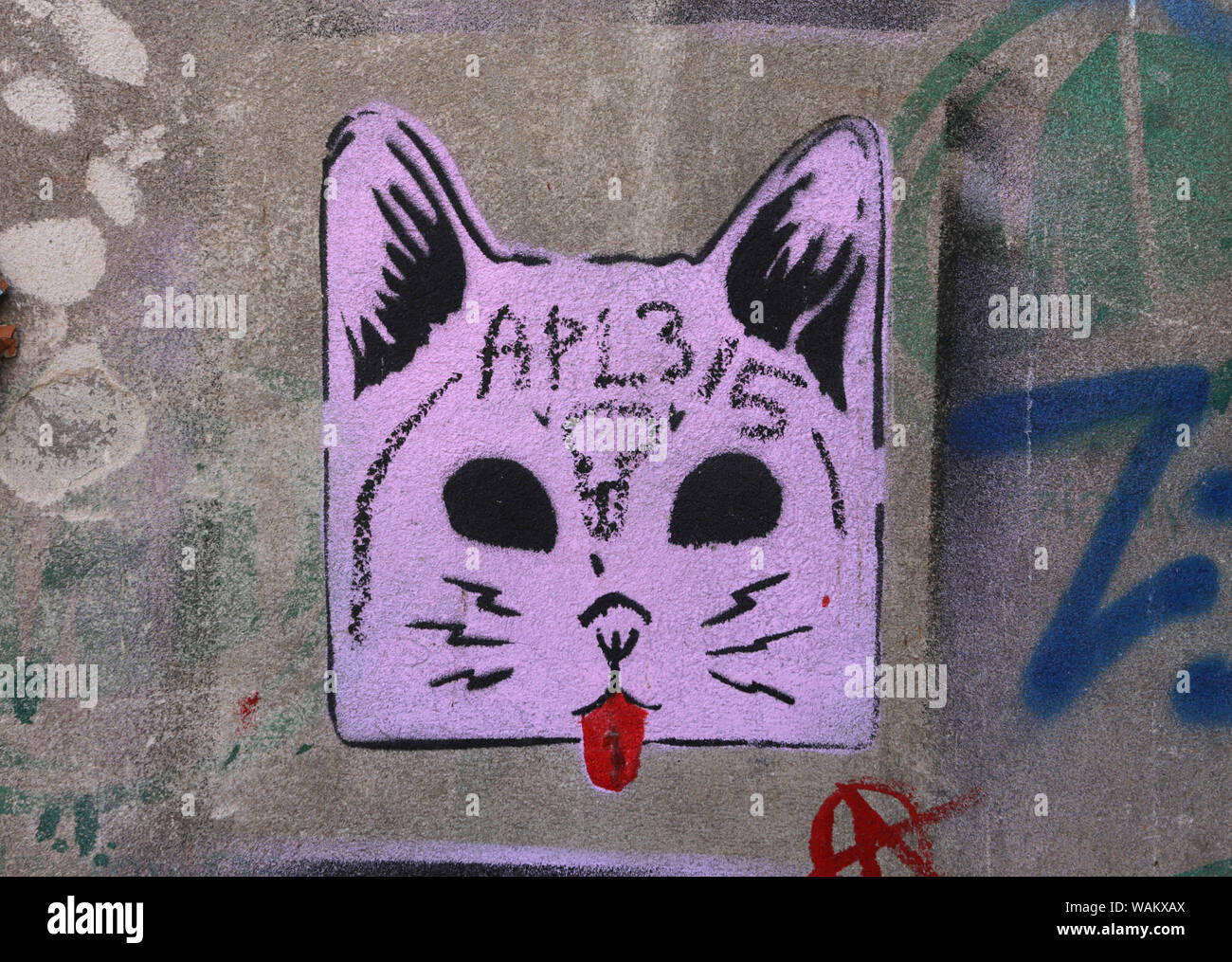 Street art stencil cat hires stock photography and images Alamy
